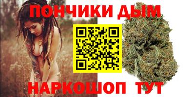 шишки Заволжье
