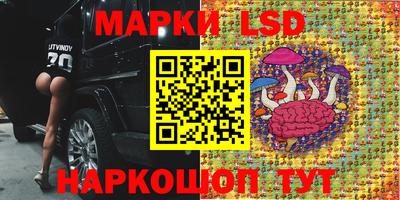 spice Жуковский