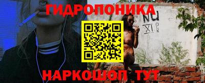 spice Заводоуковск