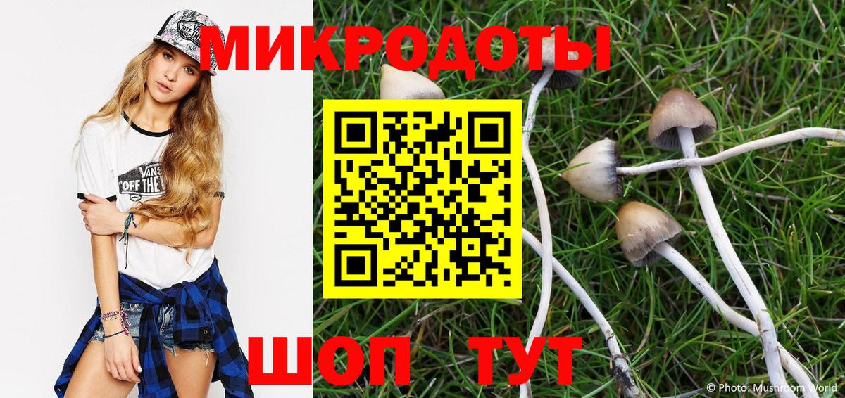 Малоярославец  Галлюциногенные грибы Cubensis  Вход с VPN 